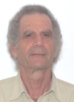 Picture of Prof. Em. David Degani